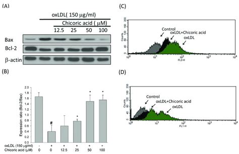 Effects Of Chicoric Acid On Oxldl Triggered Endothelial Apoptosis A