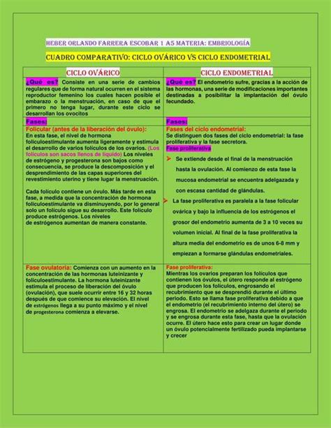 Cuadro Comparativo Ciclo Ov Rico Vs Ciclo Endometrial Heber Orlando