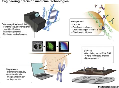 Biotechnology In Medicine