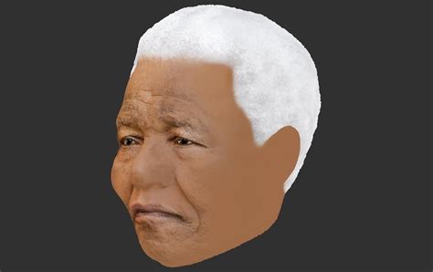 Nelson Mandela 3d Model Cgtrader