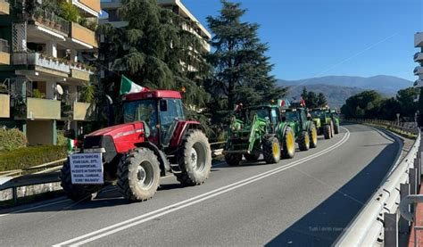 Costi Insostenibili E Niente Aiuti Gli Agricoltori Calabresi In