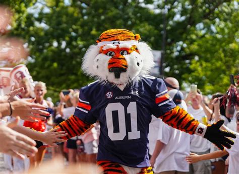 Gameday - Guest Services - Auburn Tigers - Official Athletics Website