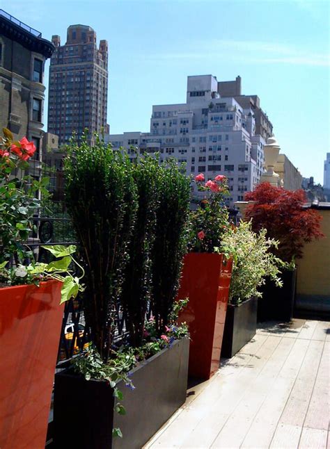 11 Simple Terrace Gardening Ideas You'll Love To Implement