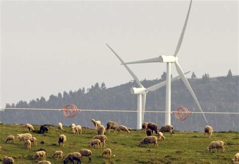 Los Agricultores Recelan Del Auge De Las Renovables Por El Uso De La Tierra