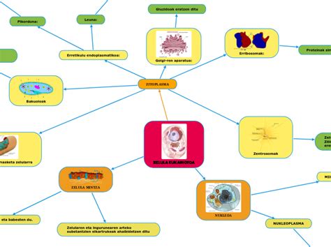 ZELULA EUKARIOTOA Мыслительная карта
