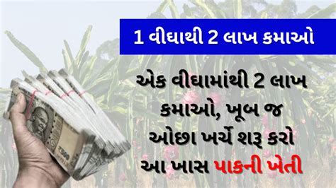 એક વીઘામાંથી 2 લાખ કમાઓ ખૂબ જ ઓછા ખર્ચે શરૂ કરો આ ખાસ પાકની ખેતી