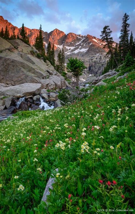 Meadow Majesty By Erik Stensland Rocky Mountain National Park Co