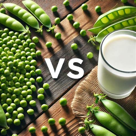 Pea Protein Vs Whey Veggie In The 6ix