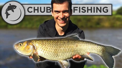 Feeder Fishing For Chub On A Big River Youtube