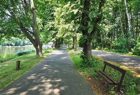 Elberadweg Fahrrad Tourde Alleenweg Direkt Am Ufer Der Elbe