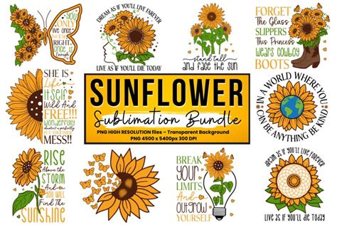 Sunflower Quotes Sublimation Bundle Sunflower Png Bundle