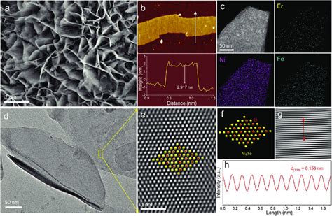 Morphology Characterization Of Er Nife Ldh Nc A Sem Image B Afm