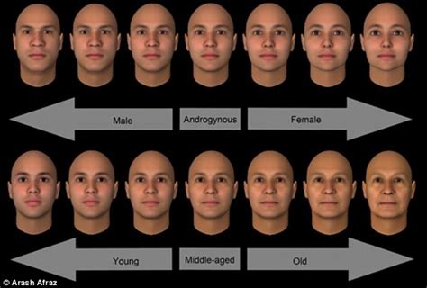 Male To Female Before And After Faces