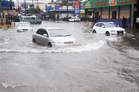 The Devastating Effects of Flooding on the Environment | Group Baddness