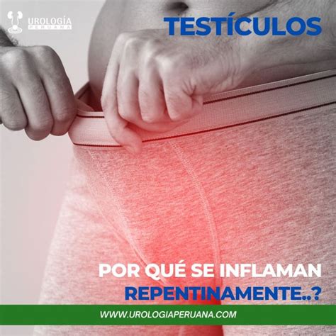 ¿por Qué Se Pueden Inflamar Los Testículos De Manera Repentina