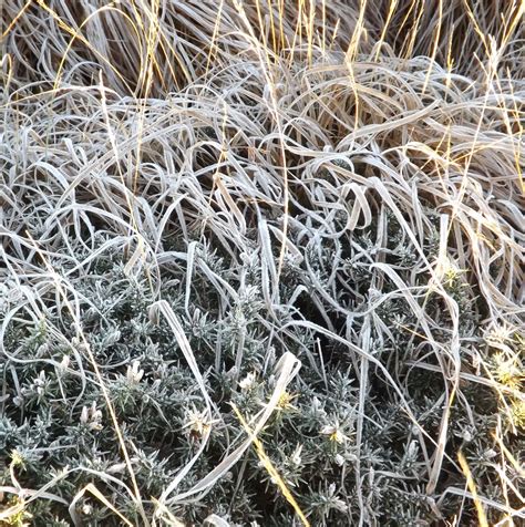 Dartmoor Ramblings: BRIXHAM, HOUND TOR AND THE NEW CAMERA