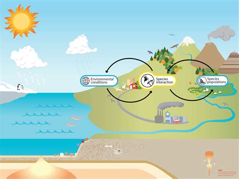 Las interacciones ecológicas entre especies cómo se producen y su