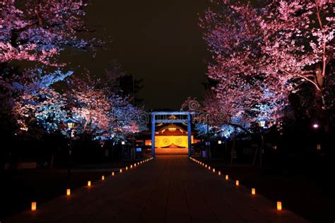 Yasukuni Jinja (Shinto-style Shrine) with Spring Cherry Blossom (sakura ...