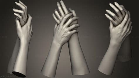 Anatomy Of Skeletons And Skulls Female Hands 1 Antm0472 3d Stl