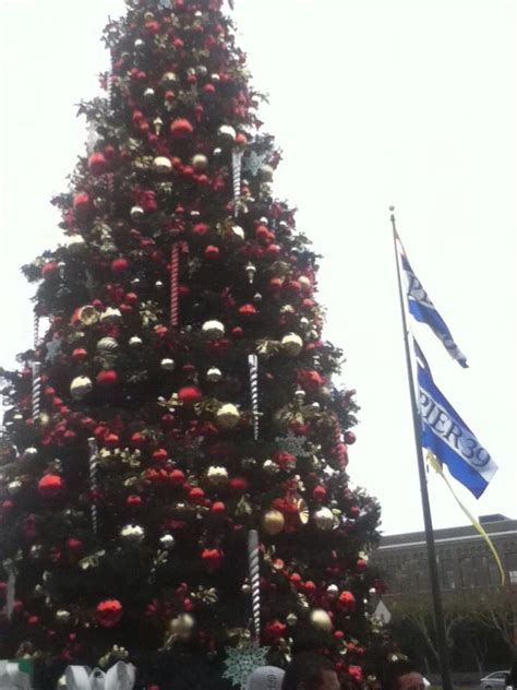 Pier 39 - CHRISTMAS tree | Christmas tree, Tree, Holiday decor