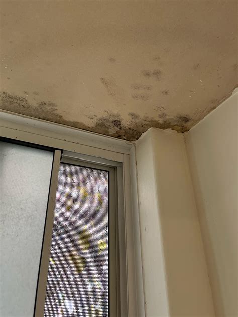 My Bathroom Ceiling Is Peeling at Emerita Yamamoto blog
