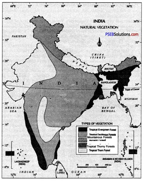 Pseb Th Class Sst Solutions Geography Chapter Natural Vegetation And