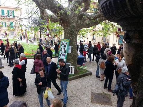 Canti E Balli In Piazza Alario Per Dire No Alla Cementificazione