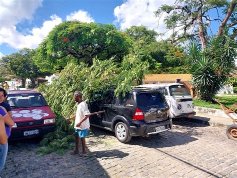 V Deo Rvore Cai Sobre Ve Culos No Centro De D Rio Meira Giro Ipia