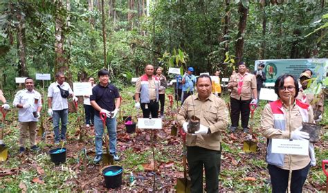 Peringati Hari Menanam Pohon Indonesia SKK Migas Pertamina EP Papua