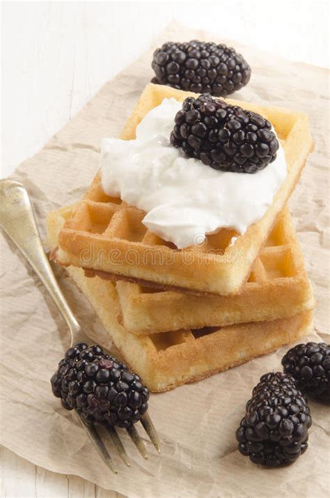 Waffle With Fresh Fruits And Honey Stock Photo Image Of Food Fresh