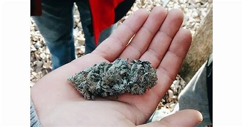 Grandaddy Purp Imgur