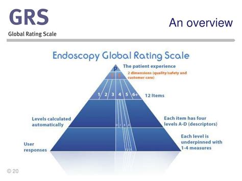 Ppt Global Rating Scale And Knowledge Management System Powerpoint