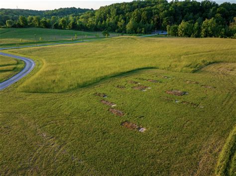 Natural Burial Protects Cemetery Workers From Hazardous Toxins