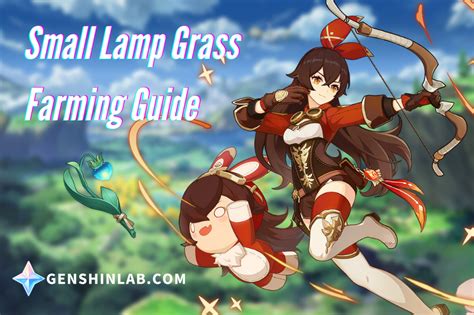 Small Lamp Grass Farming Routes For Amber | GenshinLab