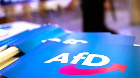 Wahlkampf mit Fake Fotos AfD Göppingen wirbt mit KI Bild Haller