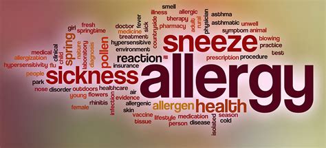 Understanding Allergies Types Triggers And Symptom Management