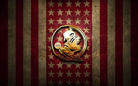 Aggregate Fsu Football Wallpaper In Cdgdbentre