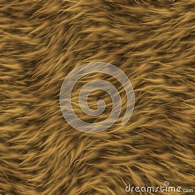 The Texture Of Fur Of A Lion. Stock Photo - Image: 28484740