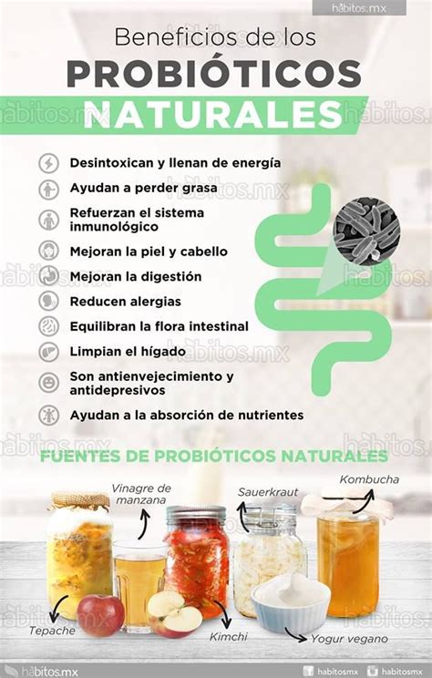 Beneficios de consumir probióticos naturales Probióticos Probioticos