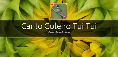 Canto Coleiro Tui Tui Apps No Google Play