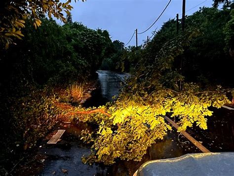 La forte tempête tropicale Eleanor des rafales de plus de