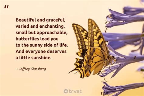 74 Beautiful Butterfly Quotes Inspiring Appreciation 2025