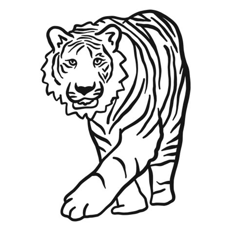 Diseño PNG Y SVG De Tigre Hocico Oreja Raya Doodle Gato Para Camisetas