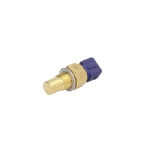 Sensor Kühlmitteltemperatur COLORSTAT BY VERNET WS2502 für Citroen