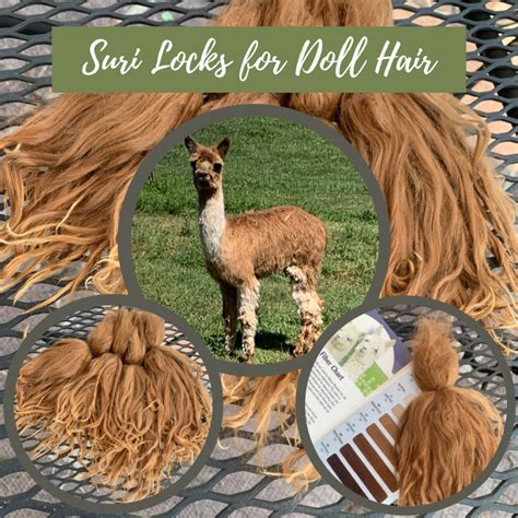 Using Suri Fiber For Doll Hair Alpaca Meadows