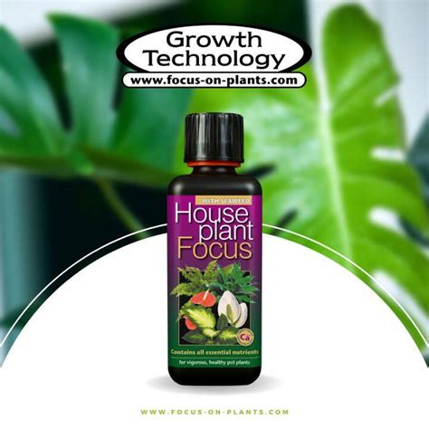 Growth Technology Houseplant Focus Plant Nutrient Plant Fertilizer