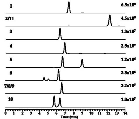 Extracted Ion Lc Hrms Chromatograms ±5 Ppm Of The M Nh4 Ions Download Scientific