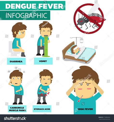 Dengue Fever Vector Infographicvirus Mosquitos Symptoms Stock Vector ...