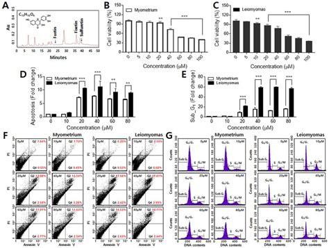 Effects Of Fisetin On Proliferation And Apoptosis Of Leiomyoma Cells