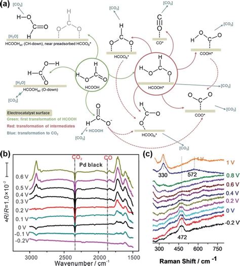 A The Proposed Mechanisms Of Hcooh Electro Oxidation Green First